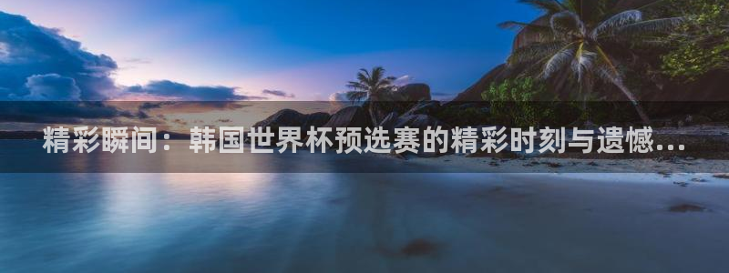 世界杯16强赛程表：精彩瞬间：韩国世界杯预选赛的精彩时刻与遗憾...