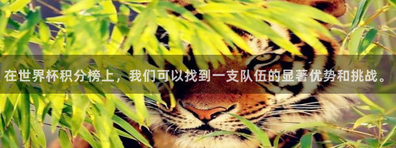 世界杯比赛直播：在世界杯积分榜上，我们可以找到一支队伍的显著优势和挑战。