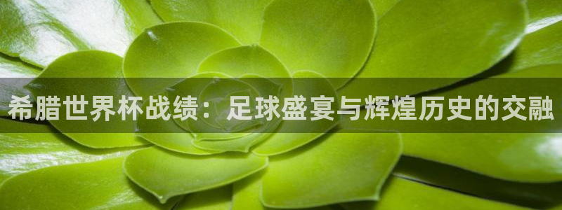 2026年足球世界杯赛程时间表：希腊世界杯战绩：足球盛宴与辉煌历史的交融