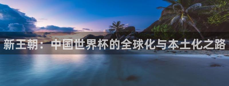 欧洲世界杯预选赛：新王朝：中国世界杯的全球化与本土化之路